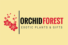 Orchid Forest