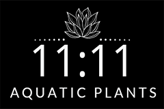 11.11 Aquatic Plants