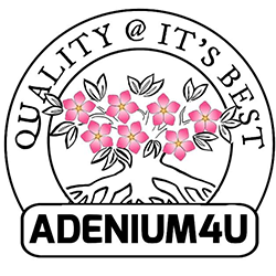 ADENIUM4U